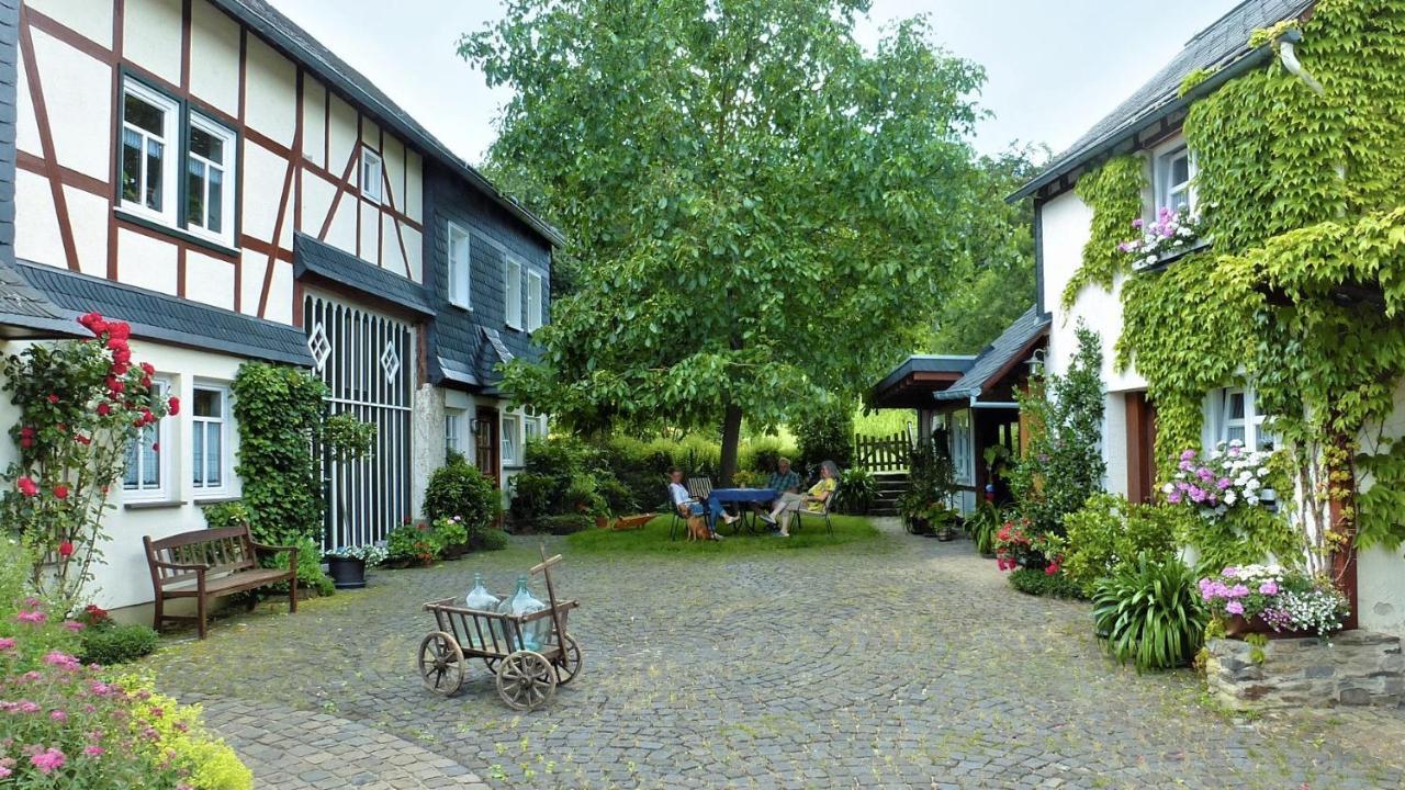 Ferienhof Mies Steffenshof Exteriér fotografie